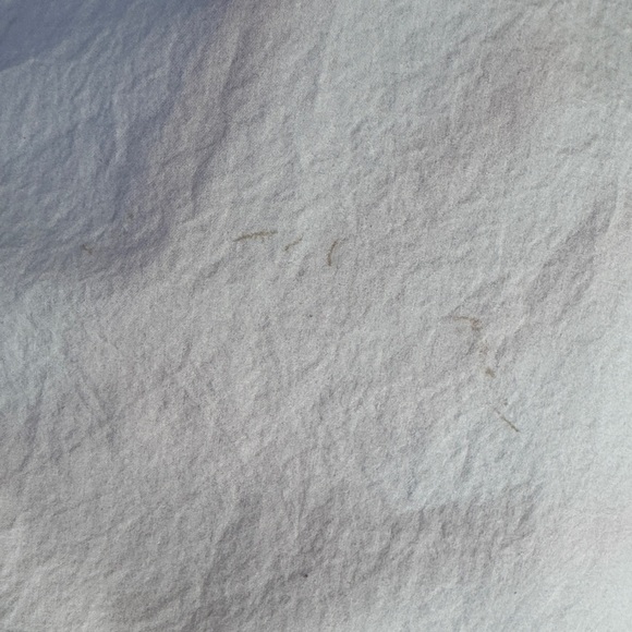 Calvin Klein Button Front White Shirt with Logo Stripes and adjustable sleeves - Picture 8 of 13